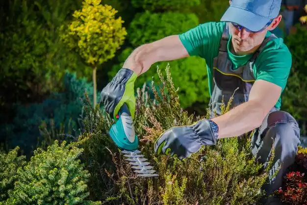 landscaping services North Windham